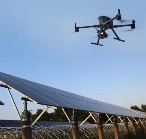 户外农作物病虫害采集要求