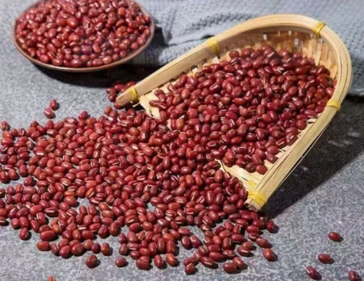 红豆高光谱数据采集