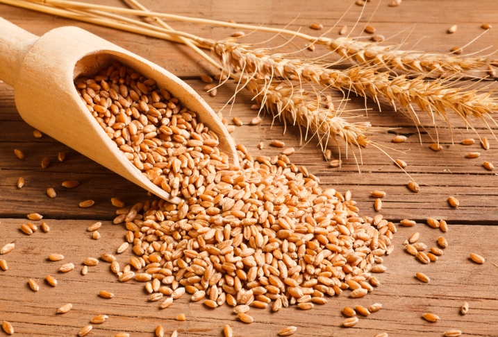 麦芽高光谱数据采集