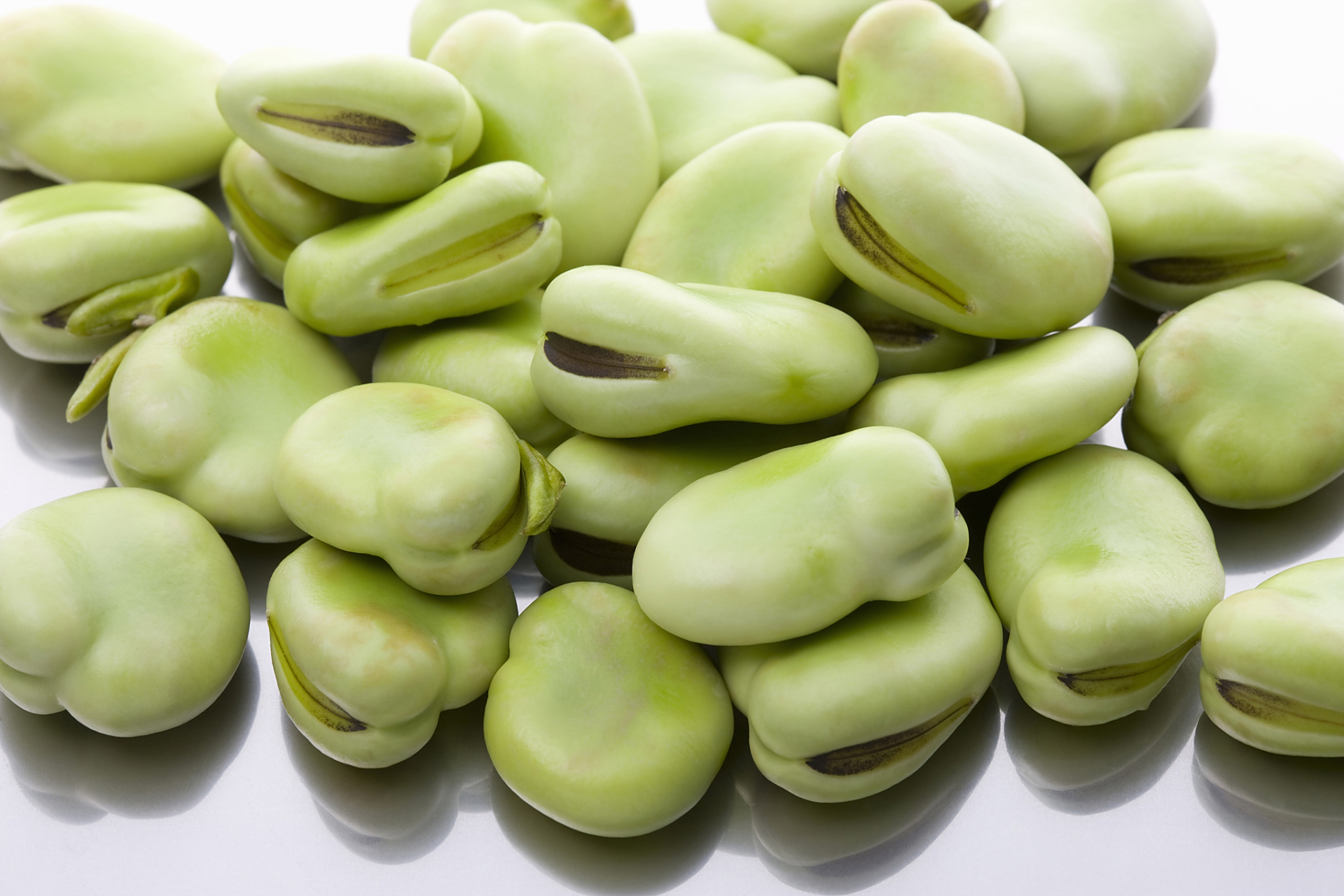 蚕豆高光谱数据采集