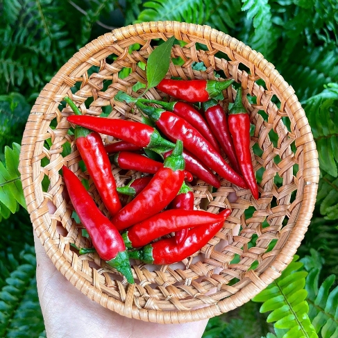 小米椒辣度等级分析