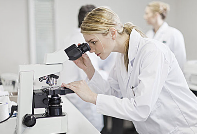 病理切片的高精度分析