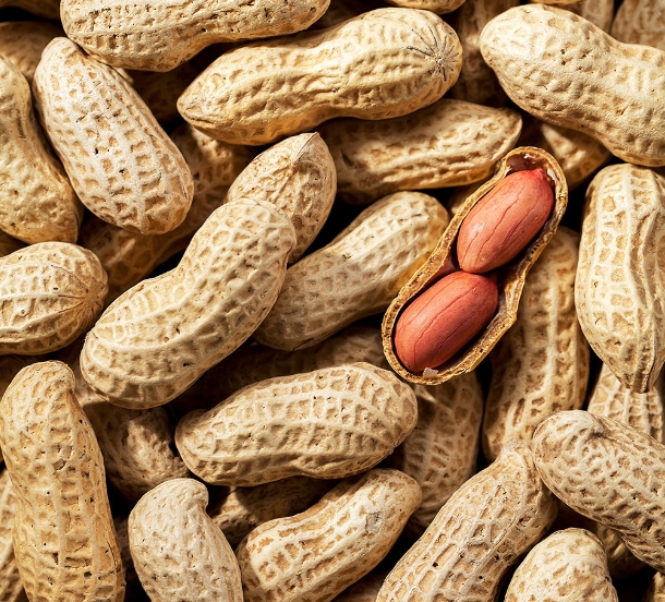 无损检测花生霉变