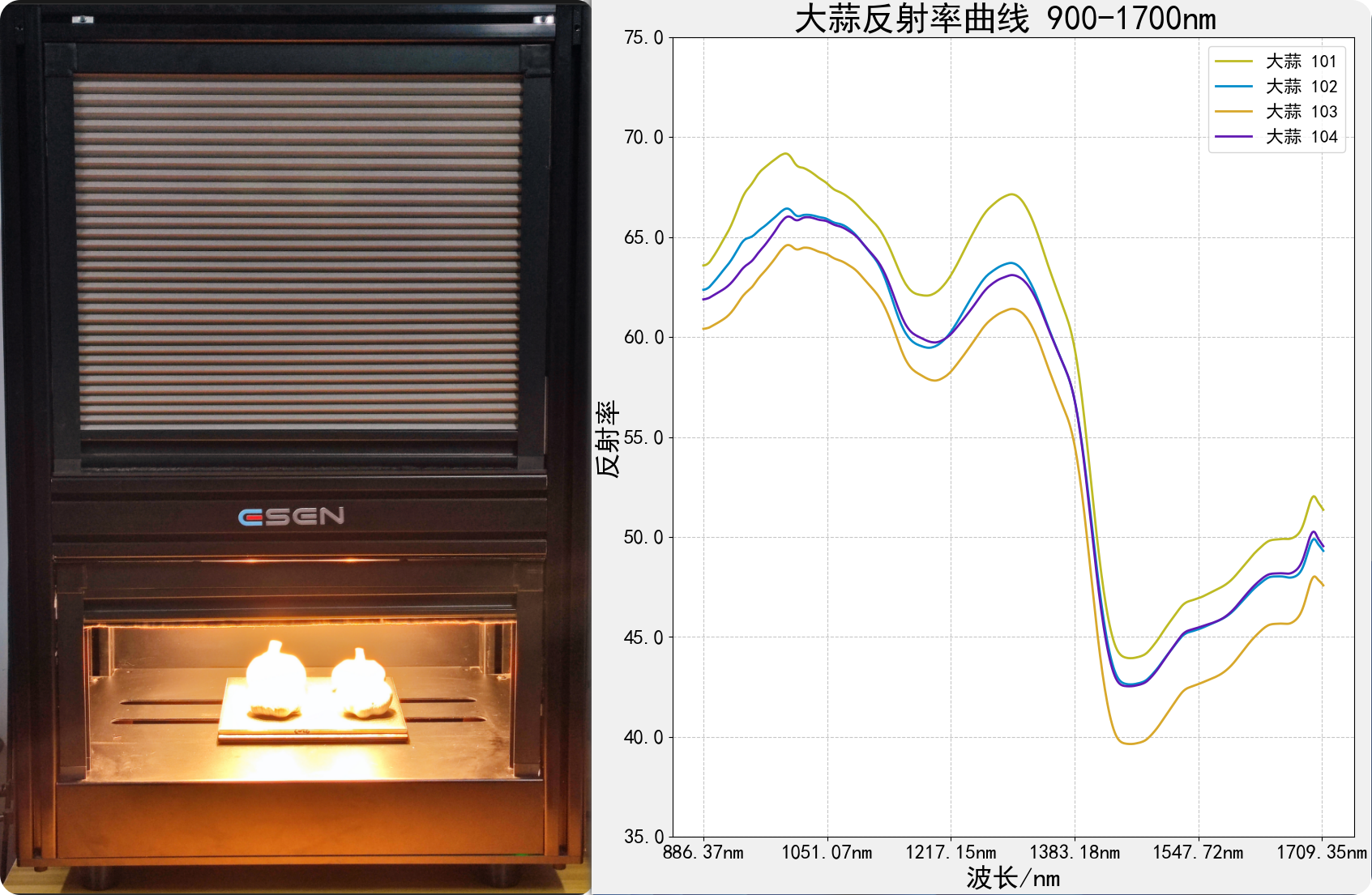 采集大蒜900-1700nm光谱数据（目的：辣度评级）
