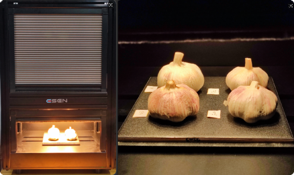 暗箱+大蒜 800.png