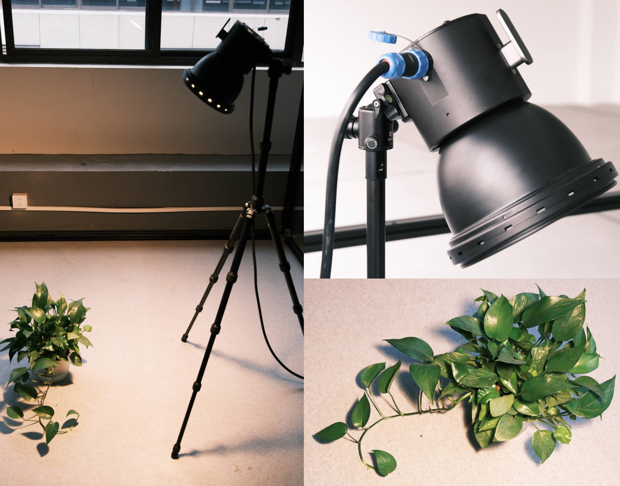 高功率面光源Lit100055-C