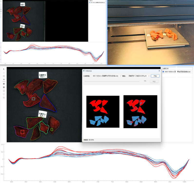 西藏灵芝高光谱数据采集-三萜活性化合物成分分析