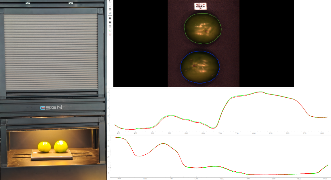 采集绿西红柿高光谱数据