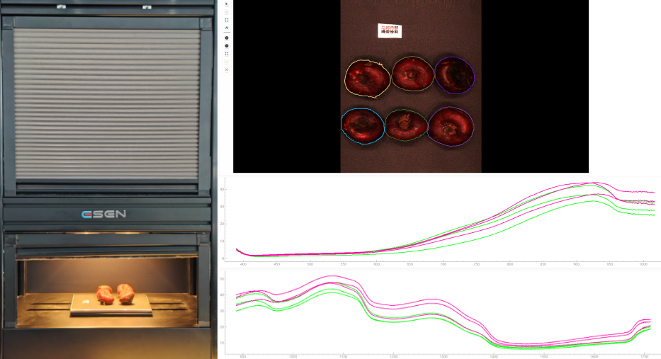 采集马蹄高光谱数据