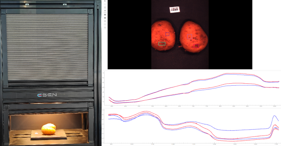 采集土豆高光谱数据