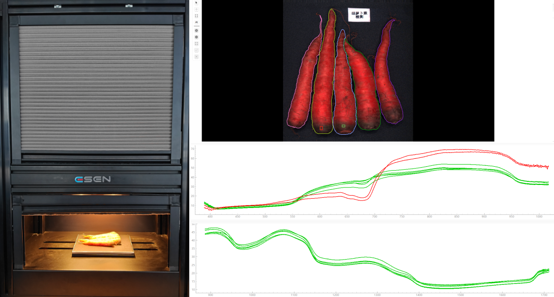 采集胡萝卜高光谱数据
