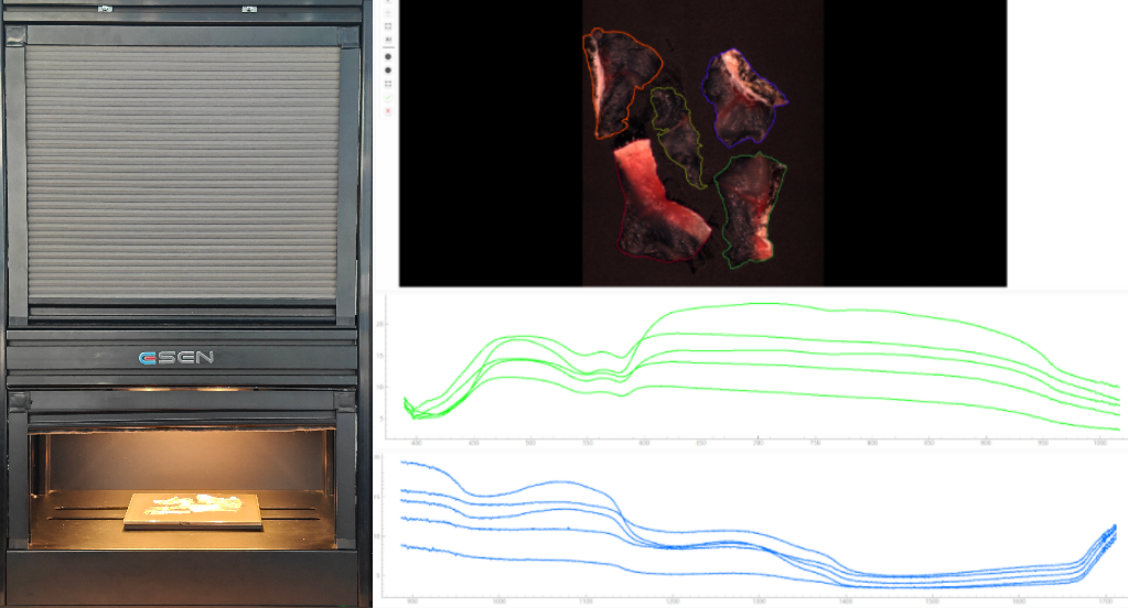 采集鱼片高光谱数据