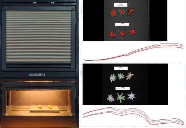 采集八角高光谱数据