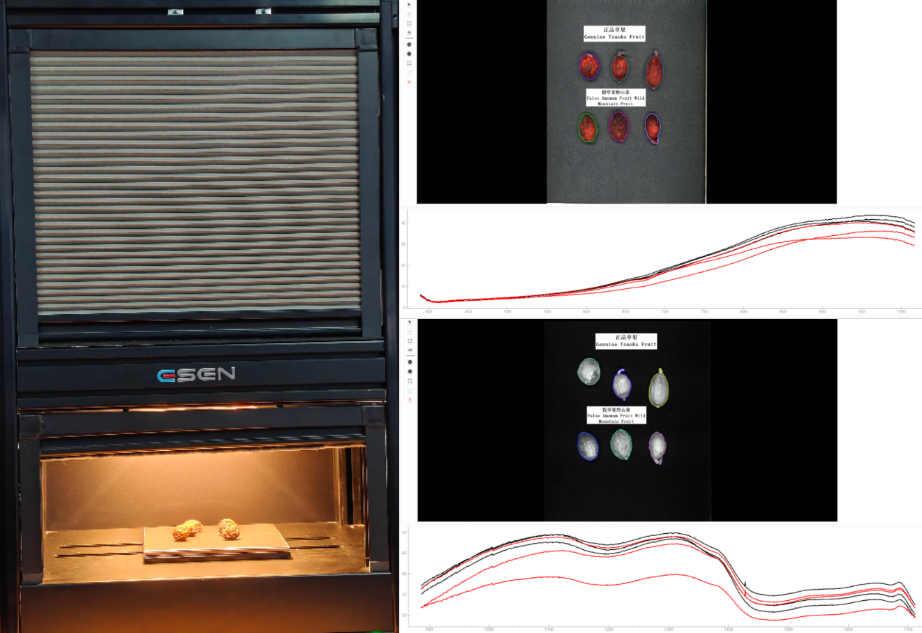 采集草果高光谱数据