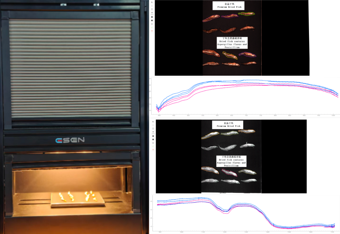 采集干鱼高光谱数据