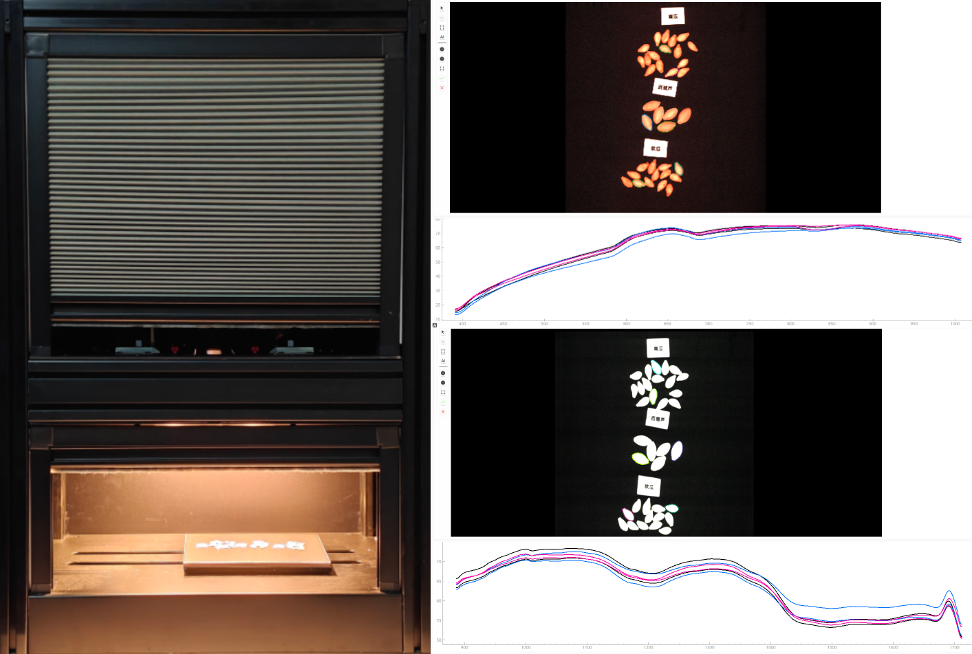 采集蔬菜瓜类种子光谱数据