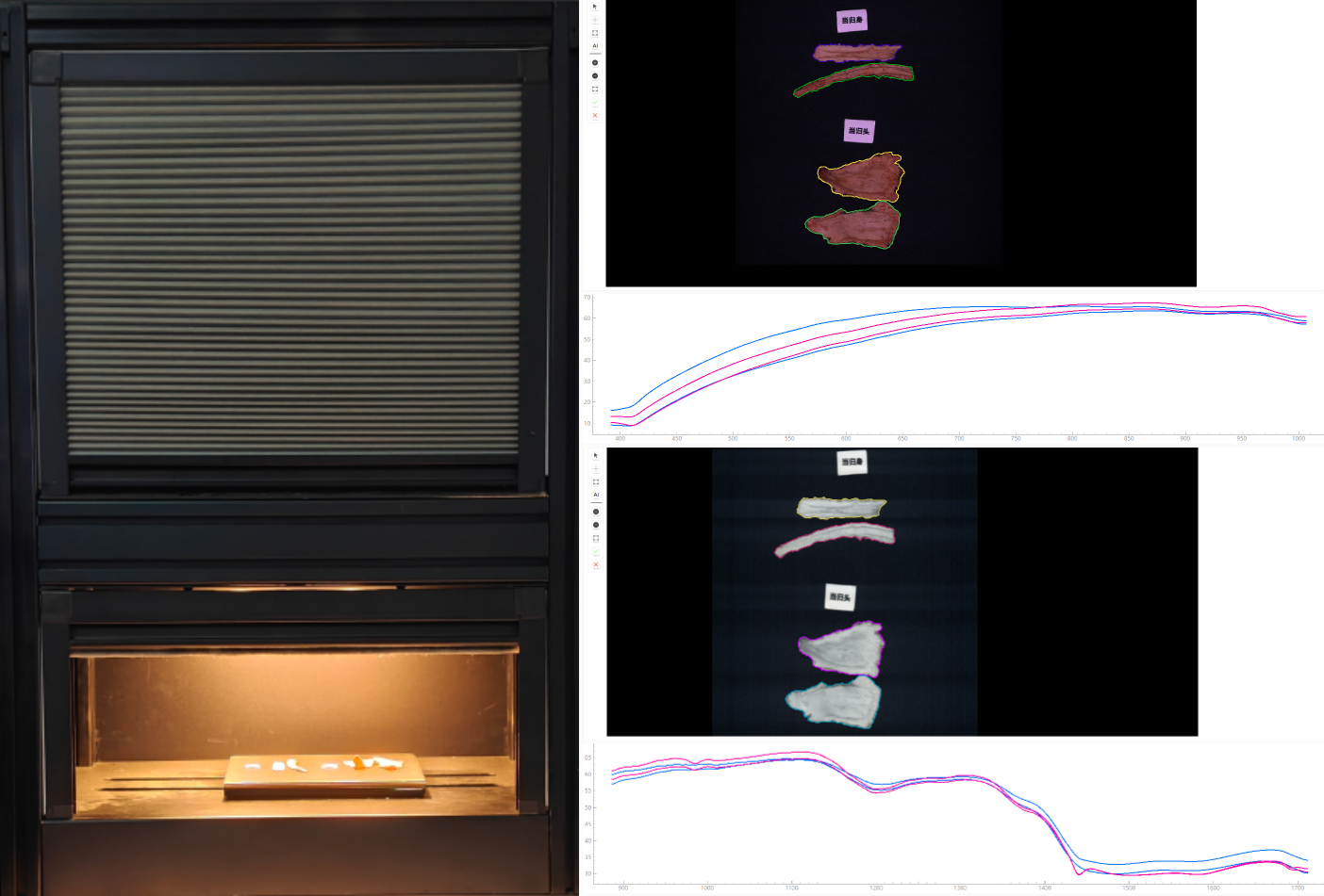 中药材-当归高光谱数据采集