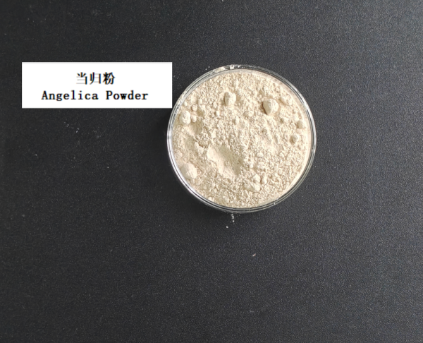 当归粉 样品.png