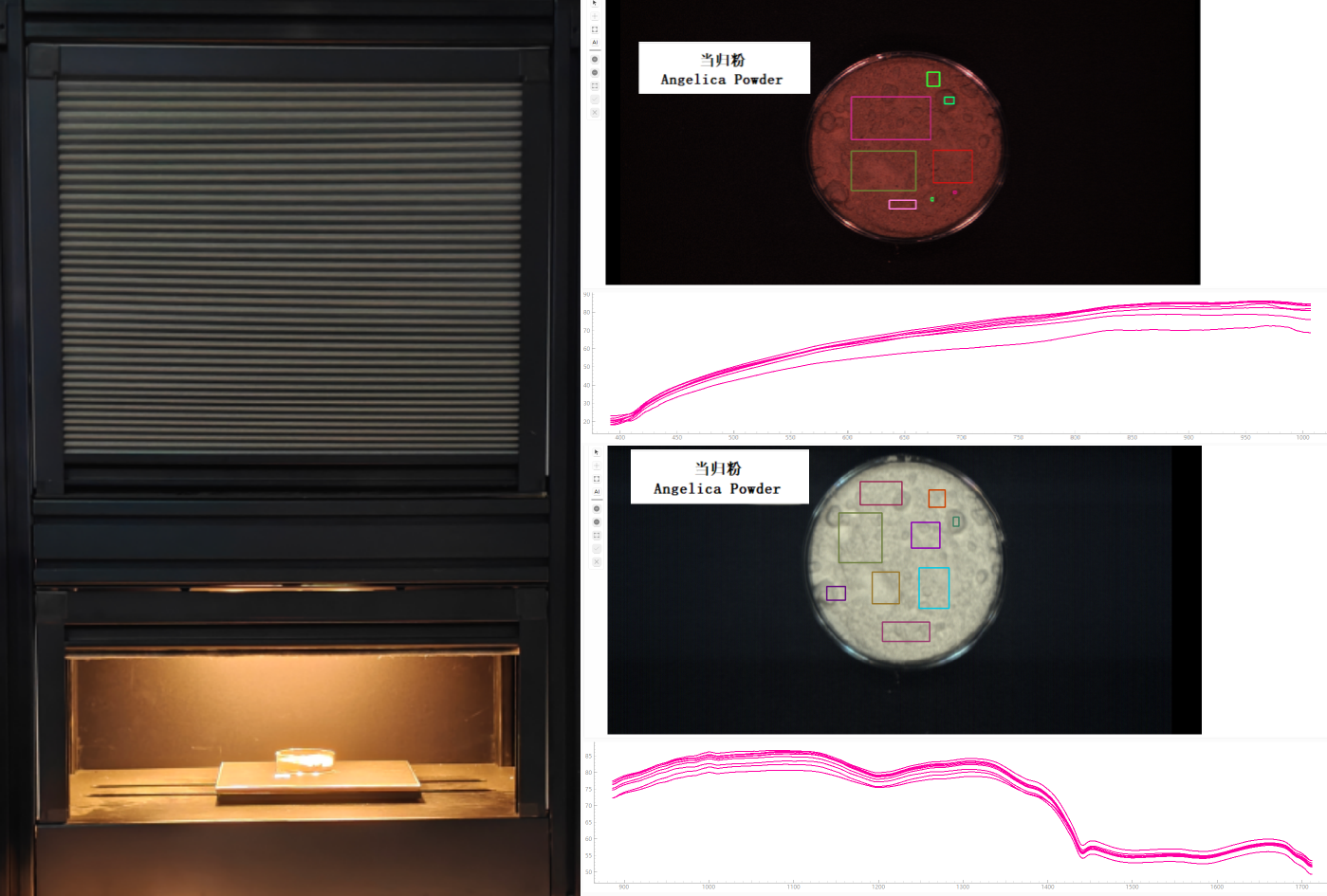 中药材-当归粉高光谱数据采集