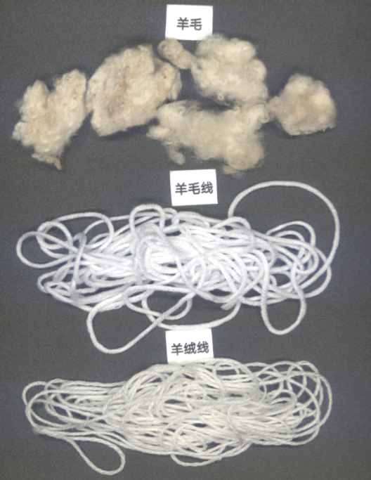 样品图片.png